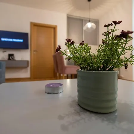 Апартаменты Vienna 3 Златибор