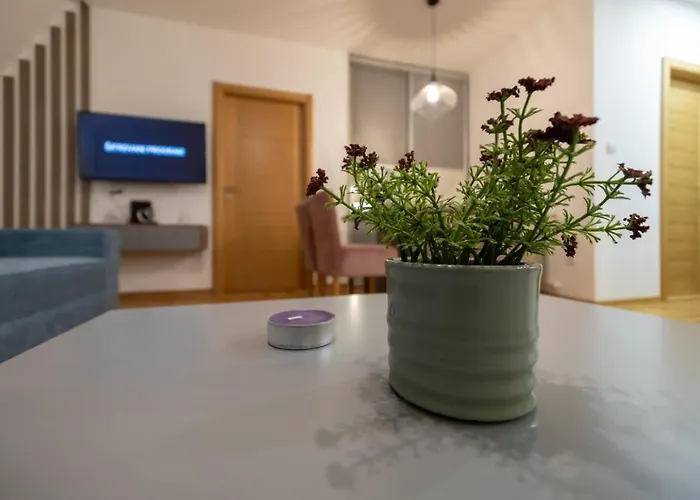 公寓 Vienna 3 兹拉蒂博尔